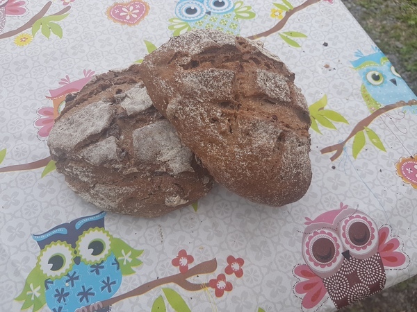 Pain''Menhir'' aux canneberges et noix de grenoble, 500g <BR>  sur commande 2 jours avant