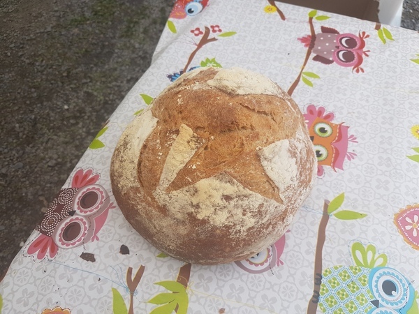 Miche Alpage, 1.1Kg 