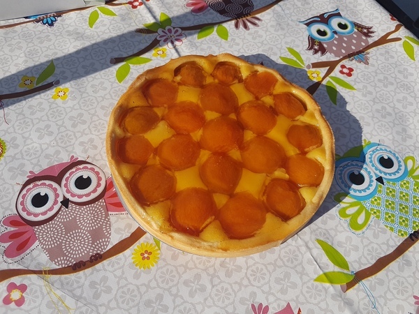 Tarte 8